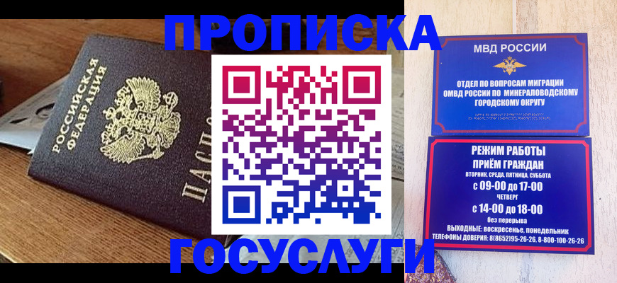 временная регистрация госуслуги в Щёлково